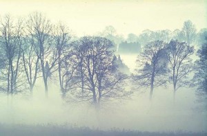 fog